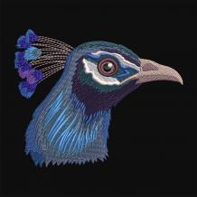 Digitized Embroidery Design Blue Peacock | Cre8iveSkill