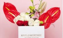 Flower Delivery in Mumbai | Send Flowers to Mumbai - MyFlowerTree