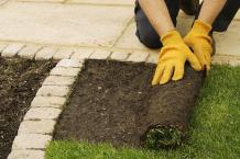 Help The Environment By Landscaping in Burnaby