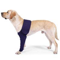 Professional Pet Protective Equipment Help Pets Recover