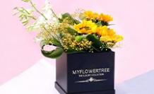 Flower Delivery in Noida | Send Flowers to Noida Online- MyFlowerTree