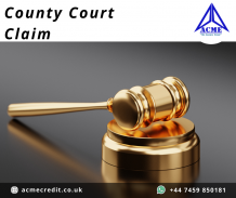 Complete Guide On How To Fill County Court Claim Form - Acme Credit