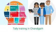 Benefits of Learning Tally Course Article - ArticleTed -  News and Articles