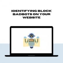 Identifying Block BadBots on Your Website