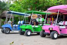 How to choose the right golf cart?