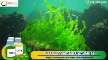 DHA Supplement from Algae - ImgPile
