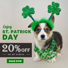 St. Patrick Sale 2022 - 20% OFF