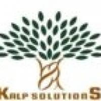 Looking for Professional SEO Services in India