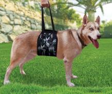 Lift Harnesses for Big Dogs