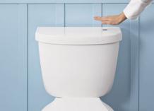 Useful Tips to Buying the Best Flushing Toilet 