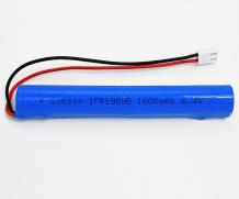 LiFePO4 Rechargeable Battery