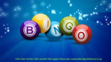 Play Best Online Bingo Sites For Winning - Lady Love Bingo