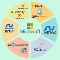 Top Microsoft Technology Services Providers for Your Business