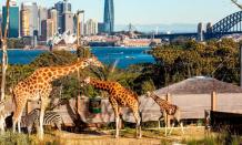 12 Best Zoos in the World 