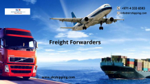 What does it take to be profitable in Freight Forwarding?