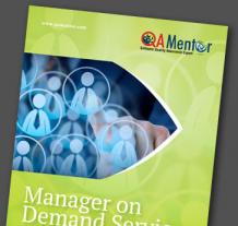 Professional QA Manager On Demand Services - QA Mentor