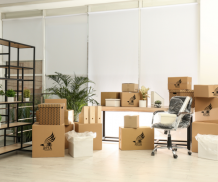 Packers and Movers Delhi | Avzamove