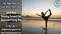 Top Yoga Poses for Calm Brain from Stress :: Traveling-face