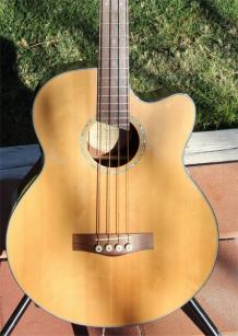 Buy and Sell Acoustic Bass Guitars