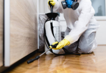 DIY Guide For House Pest Control