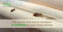 Different Steps to Take for Isolating Bed Bugs at Home