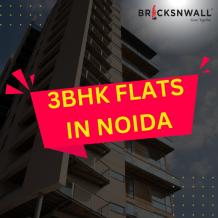 3 BHK  Flats in Noida