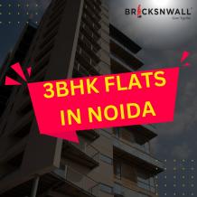 3 BHK Flats in Noida