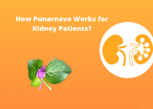 How Punarnava Works for Kidney Patients?