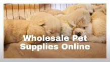 A Few Tips To Get Supplies for Pet Products At wholesale Rate