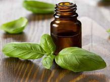 Basil Essential Oil, Pure &amp; Naturall Essential Oil Supplier in India
