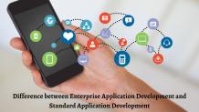 Difference between the Enterprise Application Development and Standard Application Development