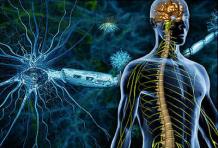 Best hospitals for neurology in India | Neurology treatment in India