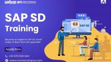 Revealing the Dynamics of SAP SD: Benefits, Demand, and Scope in Modern Business - The Enterprise News