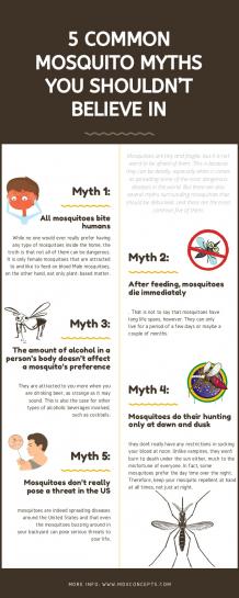 5 Common Mosquito Myths You Shouldn’t Believe In