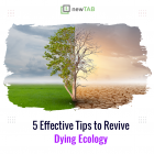 5 Effective Tips to Revive Dying Ecology