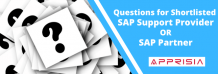 Searching Best SAP Support Providers