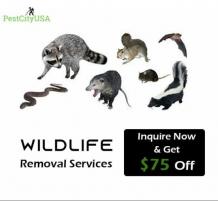 The Significance of Pest Control For Every Household in Detroit: ext_5710499 — LiveJournal