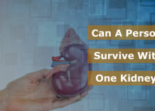 Can A Person Survive With One Kidney?