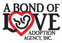 Most Supportive Adoption Consultancy in Sarasota, FL
