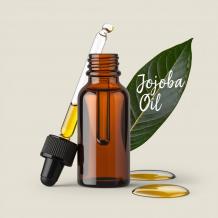 Top Jojoba oil exporters in India