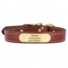 Leather Dog Collars with Nameplate