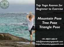 Top Yoga Asanas for Beginner to Exercise