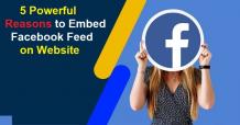5 Powerful Reasons to Embed Facebook Feed on Website