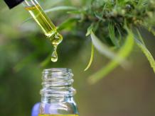 All You Need To Know About Difference In CBD Drops, Oil, and Tinctures — Steemit