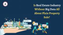 Is Real Estate Industry Without Big Data All About Plain Property Sales?| Mrmmbs Vision