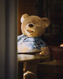 Bring Abundance of Cheerful Vibes with Big Teddy Bear | Families