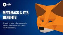 METAMASK WALLET | MEATAMASK WALLET SETUP