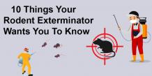 10 Things Your Rodent Exterminator Wants You To Know   | Serve