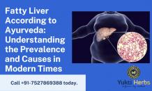 Fatty Liver According to Ayurveda: Understanding the Prevalence and Causes in Modern Times | Potent
