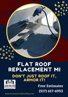 Flat Roof Replacement MI